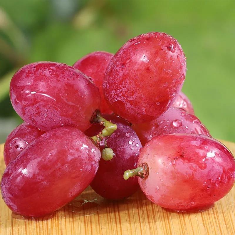 新疆香味甜大红提新鲜当季水果红提克伦生无籽葡萄3/5/9斤 5斤装