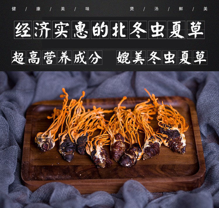 真蛹虫草带蛹体北冬虫夏草特级孢子头干货煲汤泡酒真蛹虫草 蛹虫草100