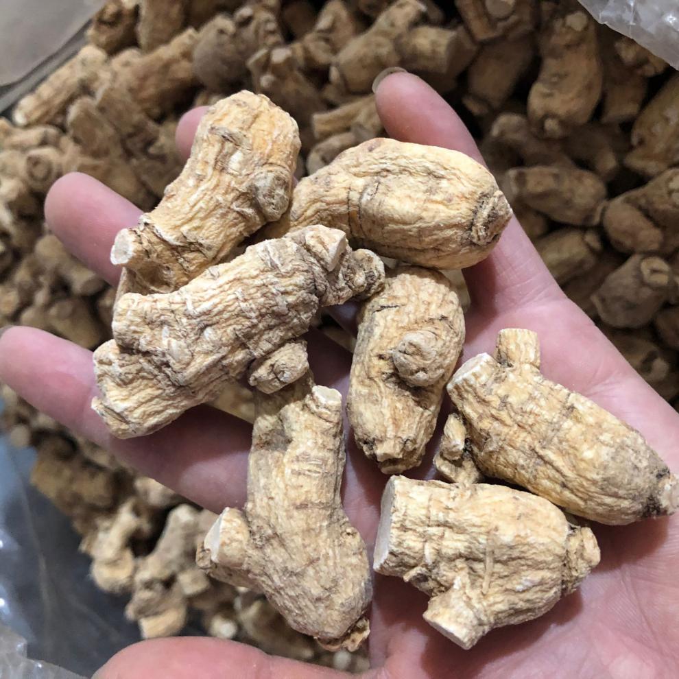山庭堂西洋参粒头长白山西洋参段花旗参500克可免费切片3g西洋参短