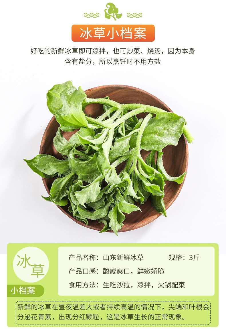 冰草新鲜蔬菜4斤冰叶菜沙拉火锅现摘冰3菜花生吃4斤