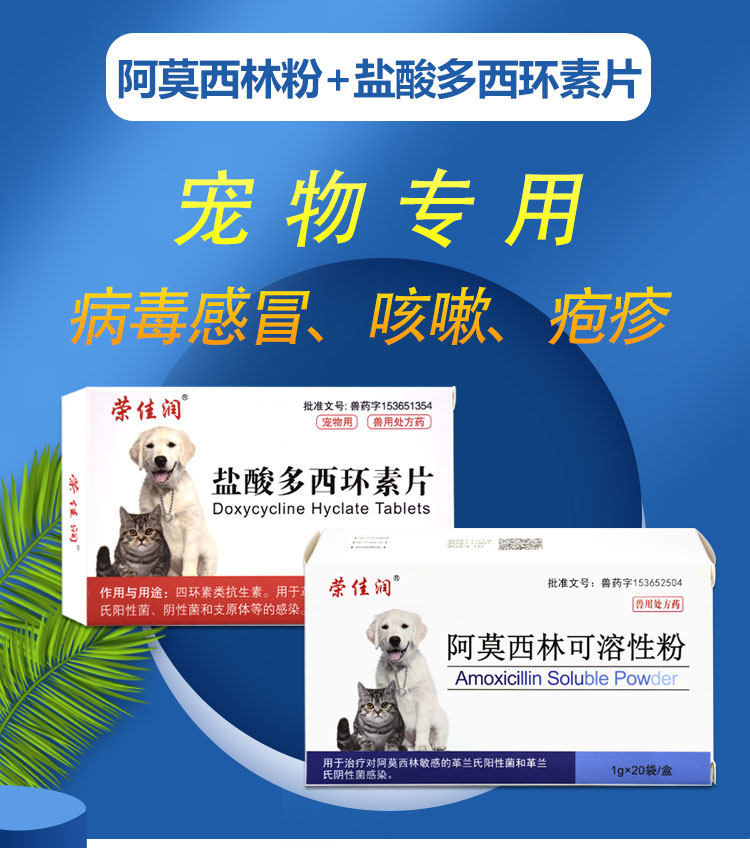 宠物阿莫西林猫盐酸多西环素片狗狗猫咪咳嗽感冒窝咳猫鼻支治疗药