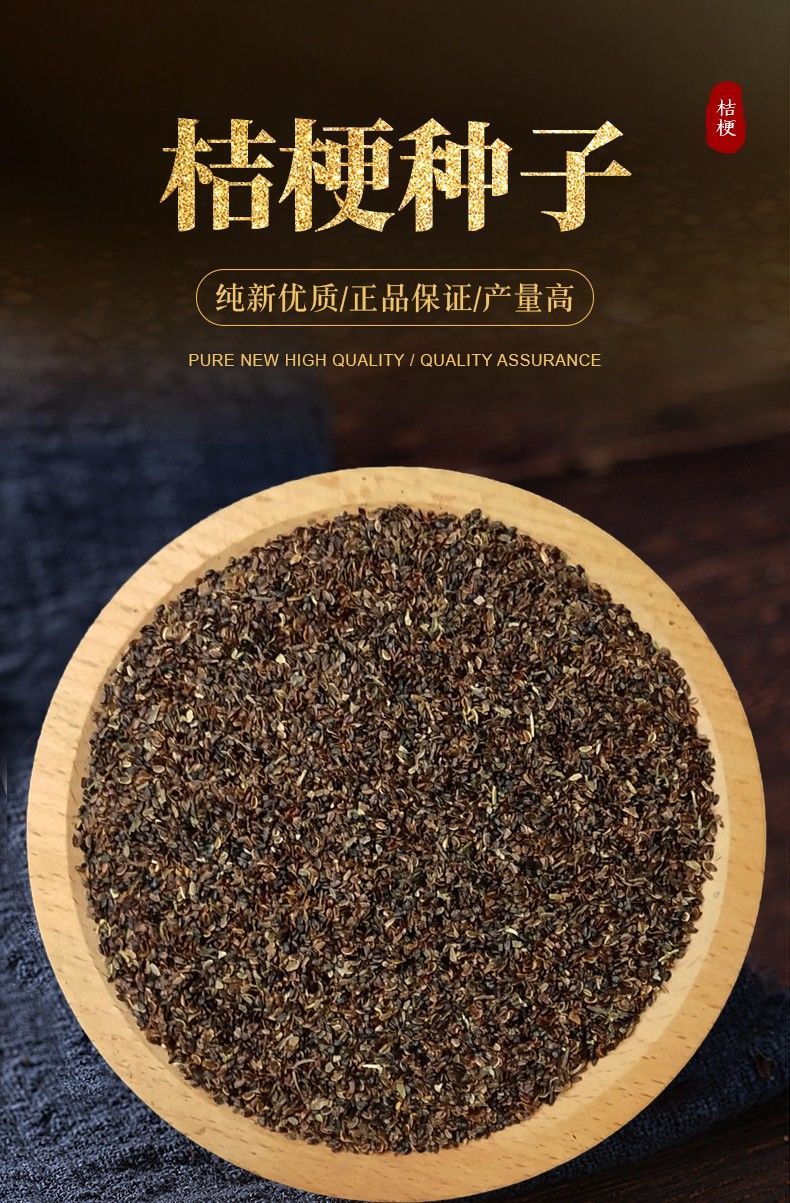 《》2021年新桔梗种子桔梗子中药材桔梗狗宝咸菜种子桔梗籽 优选桔梗