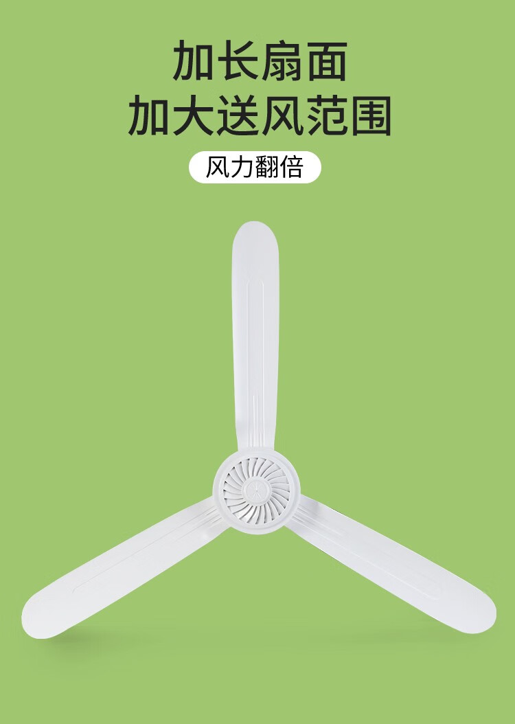 2a86ad62465eaa81.jpg