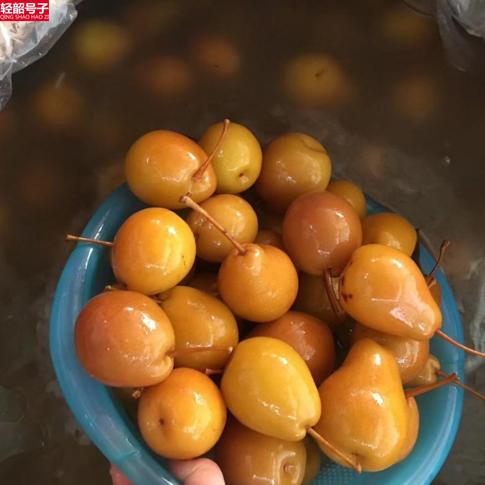 2斤装广西南宁横县特产酸嘢酸甜沙梨泡梨酸李子500克2斤酸沙梨袋装500