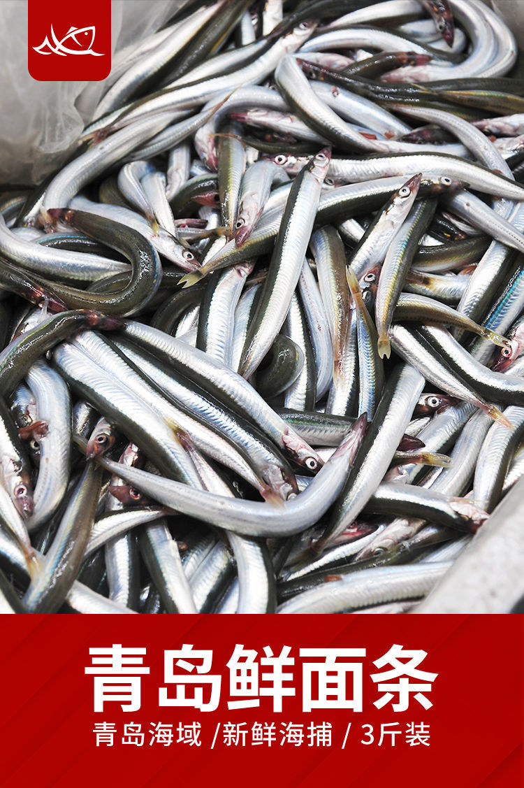 青岛海捕面条鱼鲜活新鲜冷冻海杂鱼小海鱼沙丁鱼小银鱼小鱼3斤装无冰