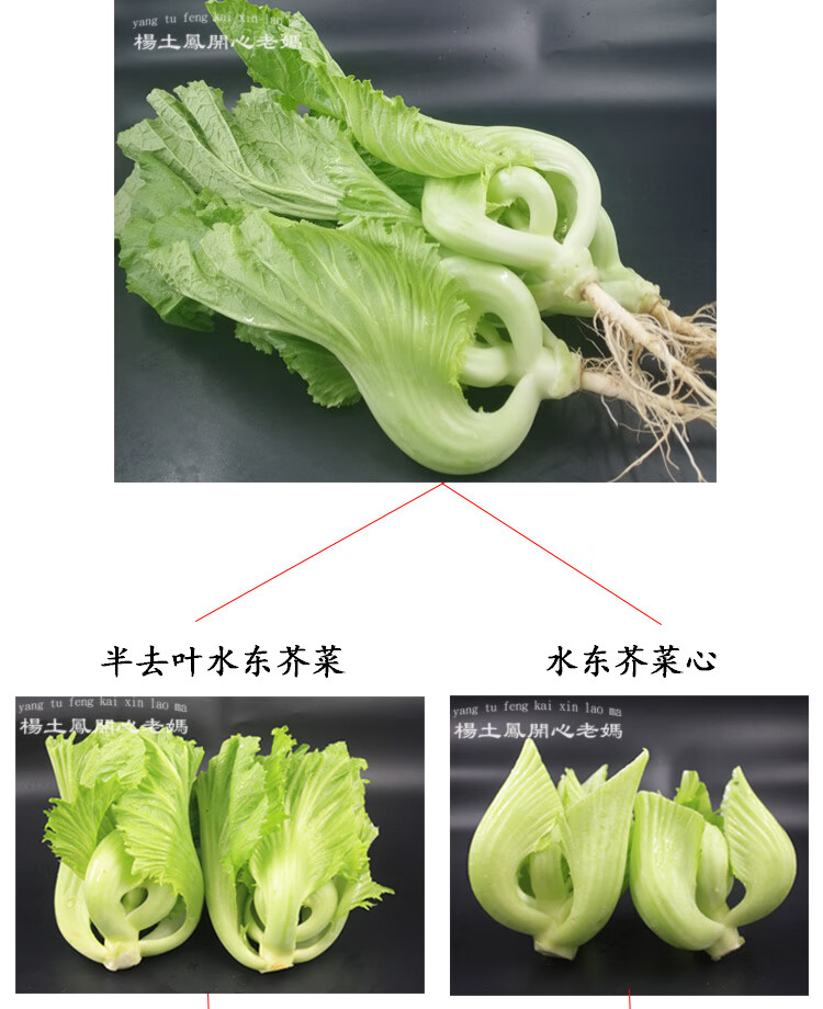 f48ae6cf70dcd2aa.jpg