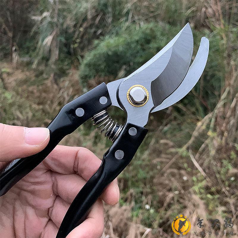 果树剪刀树枝修剪刀果树修剪工具剪枝剪家用绿植花卉剪农用园艺快速