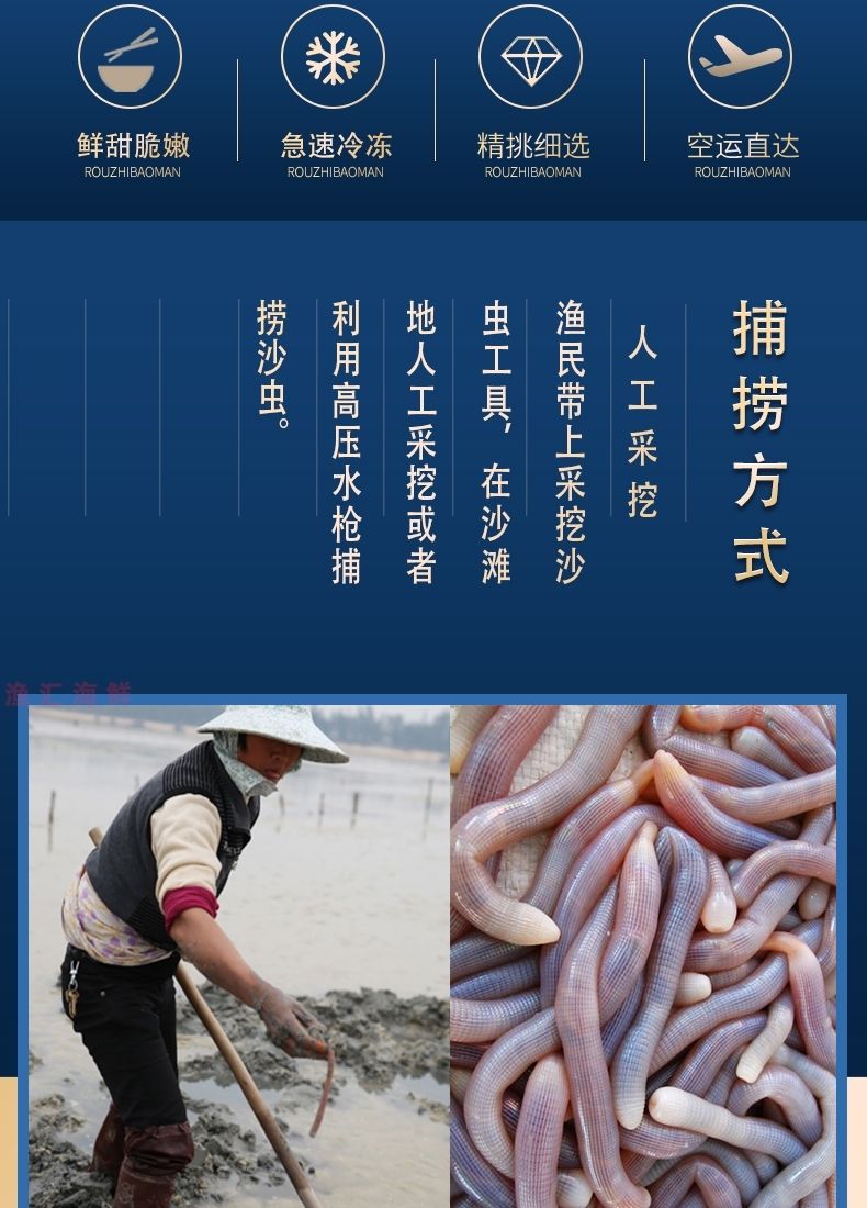 东山岛沙虫200g新鲜活冻沙虫鲜活沙蚕去肚去沙海肠子3盒装