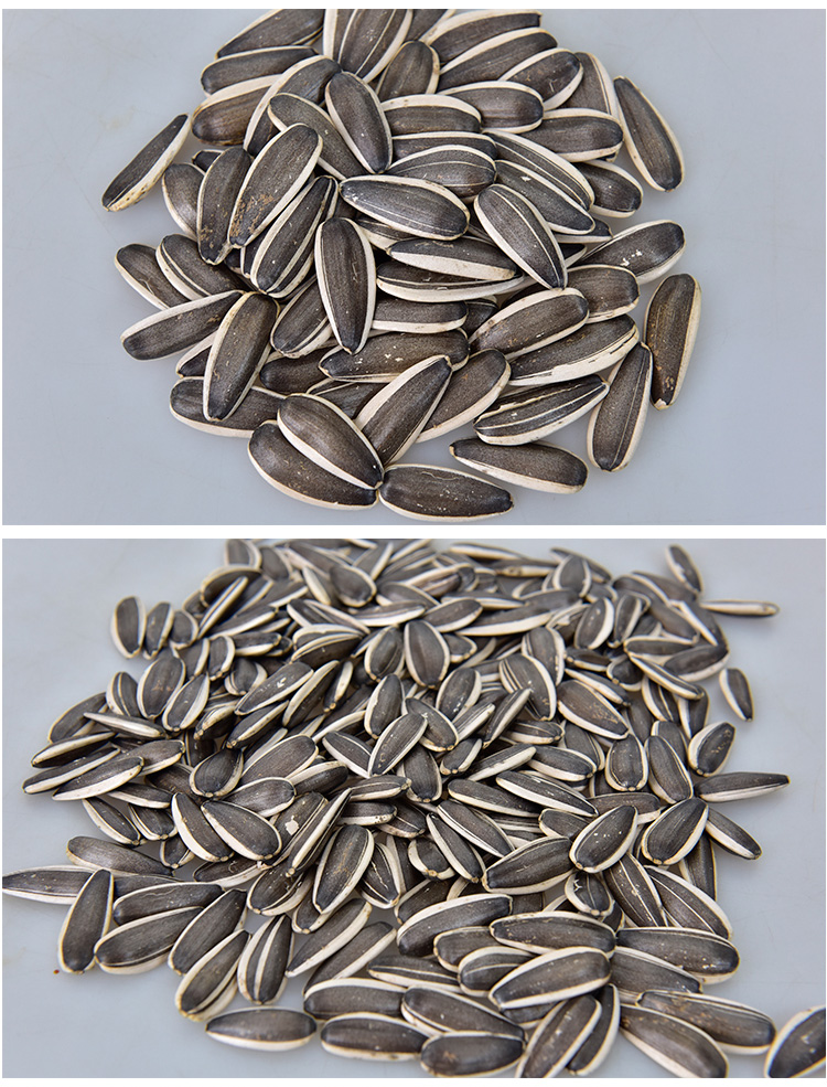 生瓜子2021新货大颗粒散装15斤毛嗑葵花籽内蒙新鲜爪子原味现炒货生