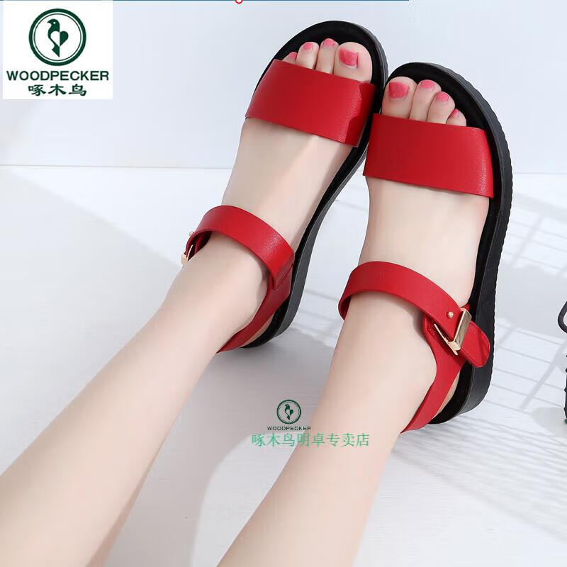 02c0b48302121ff7.jpg
