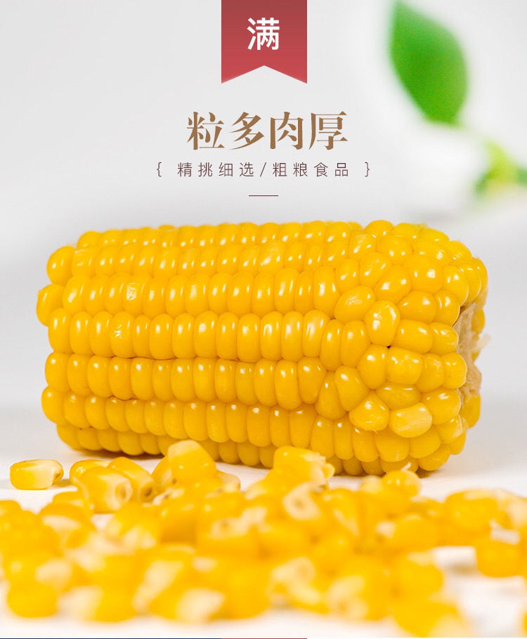 天景玉米黄粘玉米新鲜玉米棒东北粘苞米棒整箱速冻玉米8包16个