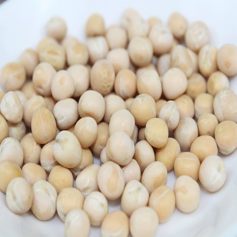 碗豆 干货豌豆粒生新鲜豌豆白碗豆黄豌豆粒散装干碗豆四川重庆5斤