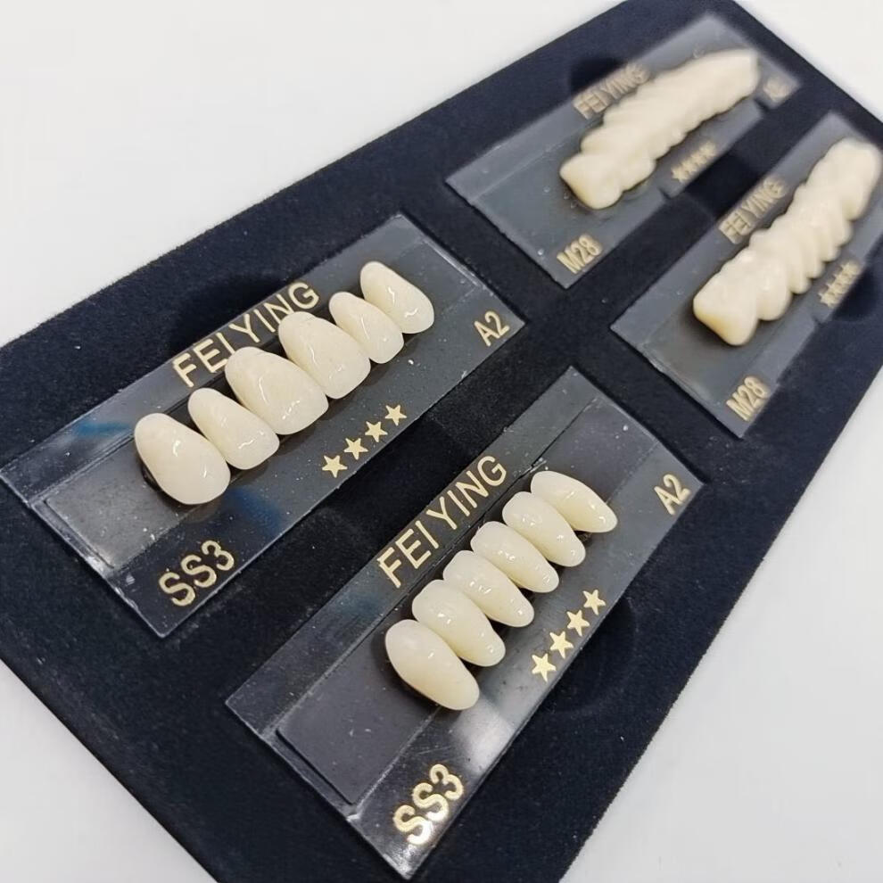飞鹰四星多层色树脂牙前塑后钢牙二层色牙科塑钢牙齿全口义齿 ss4(中)