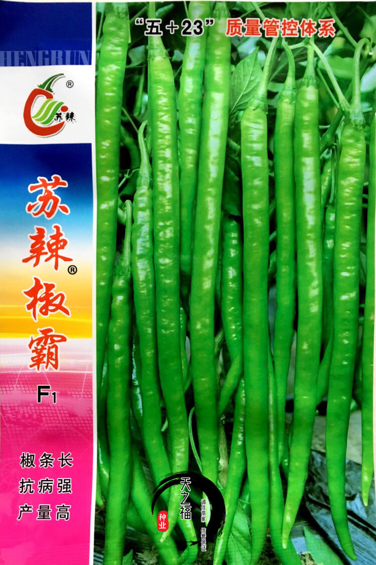 时田杭椒f1(150粒)【图片 价格 品牌 报价】-京东