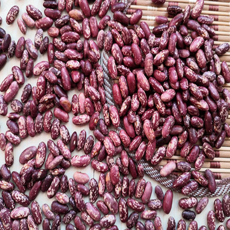 贵州农家干花豆米贵州特产四季豆紫芸豆红花芸豆酸菜豆汤豆子杂粮1斤