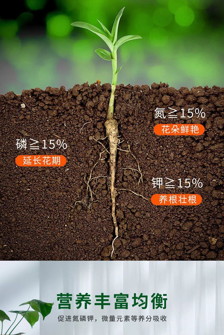 玉树专用肥肥料花肥有机肥开花生根缓释颗粒肥花卉植物营养液肥料玉树