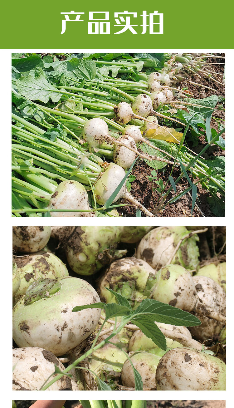 酸碱平衡柯坪县恰玛古正宗农产品 精选(礼盒 网袋发货) 4500g【图片