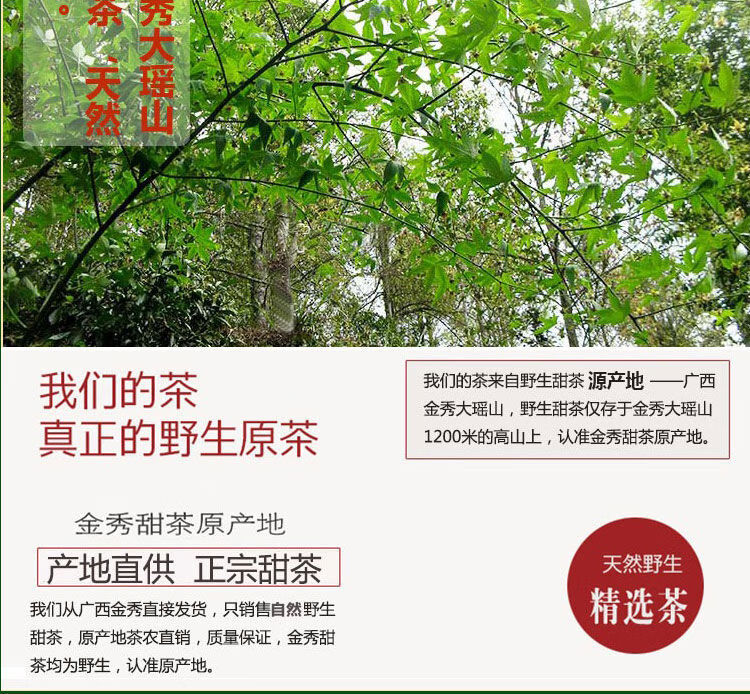 甜茶叶广西金秀甜茶野生大瑶山刺儿茶叶天然养生茶250g500g野生甜茶
