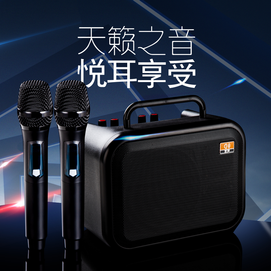 适用芝声e400无线蓝牙扩音器二胡电管乐乐功率扩音广场舞k歌音响 双