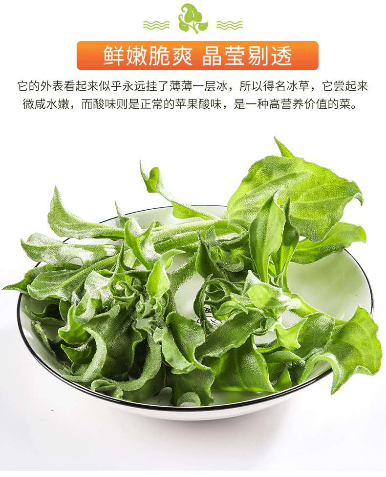 冰草新鲜蔬菜4斤冰叶菜沙拉火锅现摘冰3菜花生吃4斤