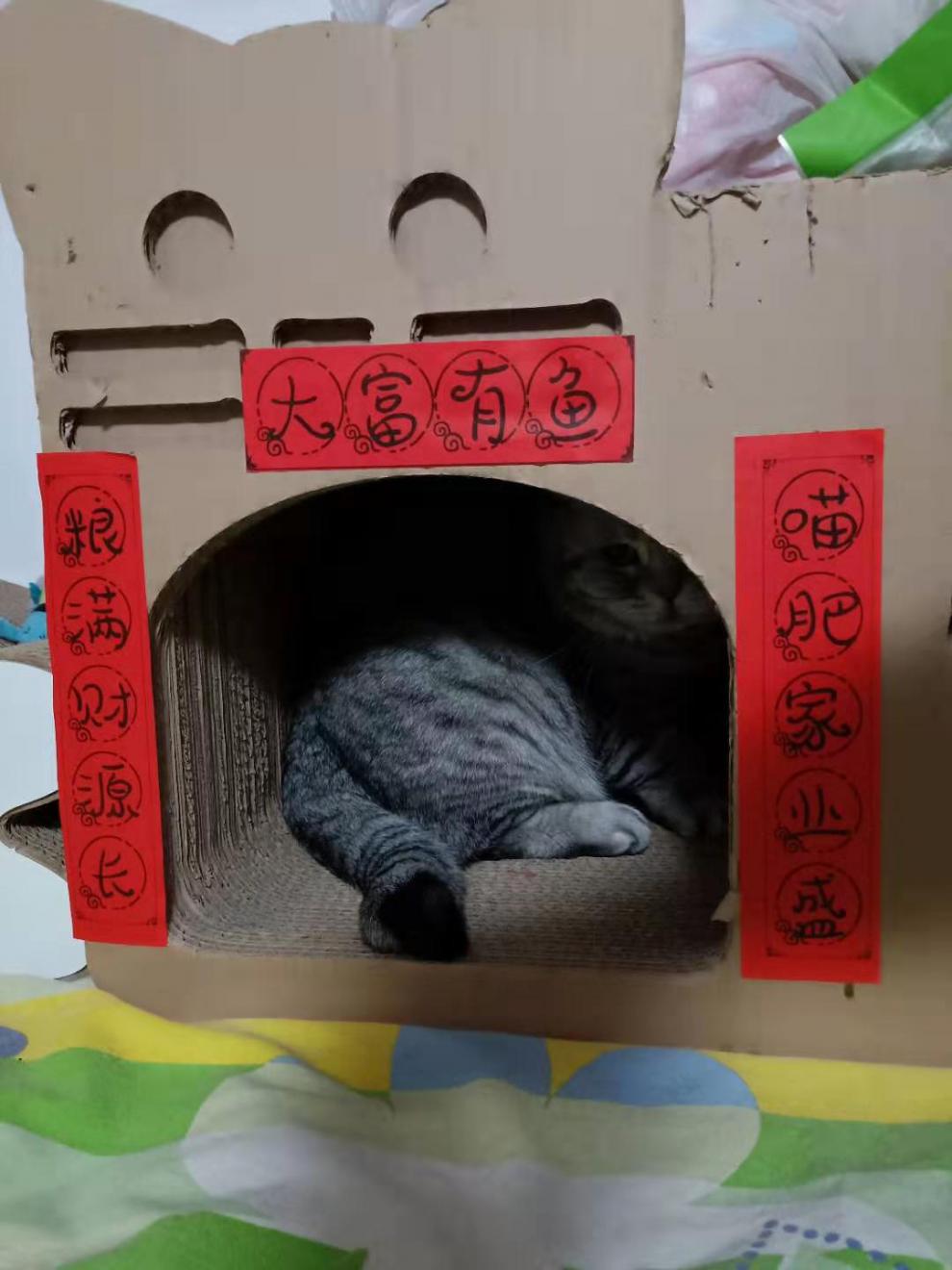 【京荐优品】2022款猫窝对联趣味猫窝狗窝对联宠物砂盆猫厕所春节对联