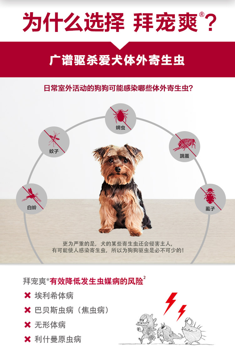 拜宠爽德国进口体外驱虫药狗狗宠物泰迪比熊博美金毛除跳蚤蜱虫杀虫