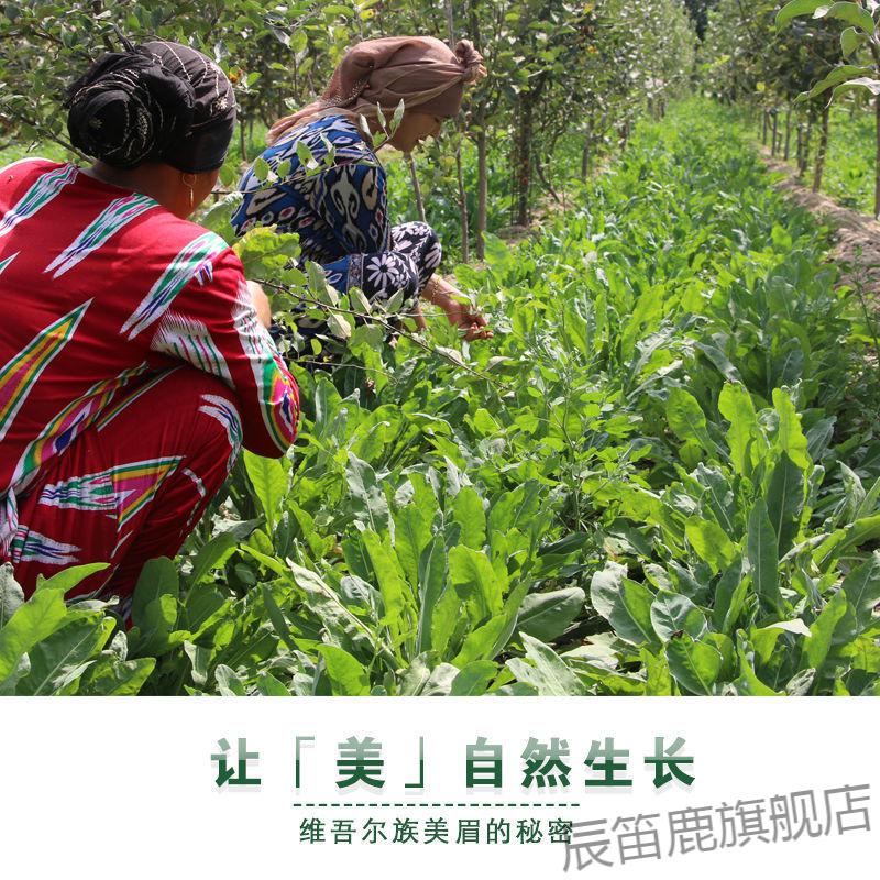 2022新款乌斯玛草棒生发新疆乌斯玛草棒乌斯曼生眉笔棒草粉草汁长眉毛