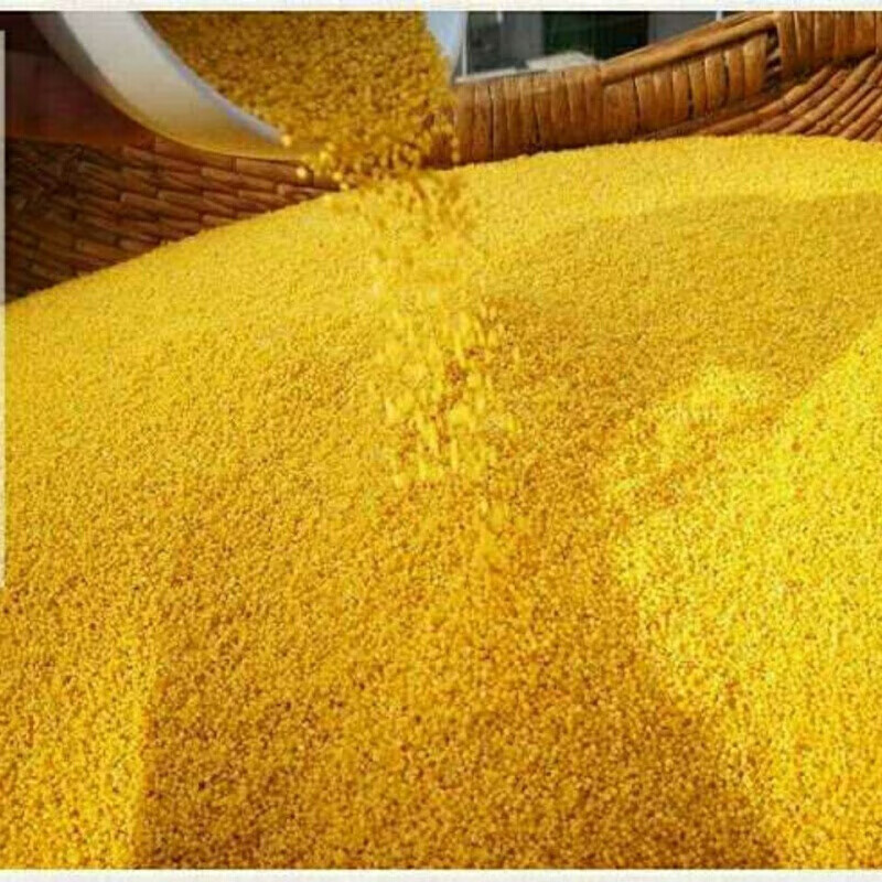 河南安阳特产马投涧豫岭免淘21年黄小米20年新米河南安阳马投涧特产石