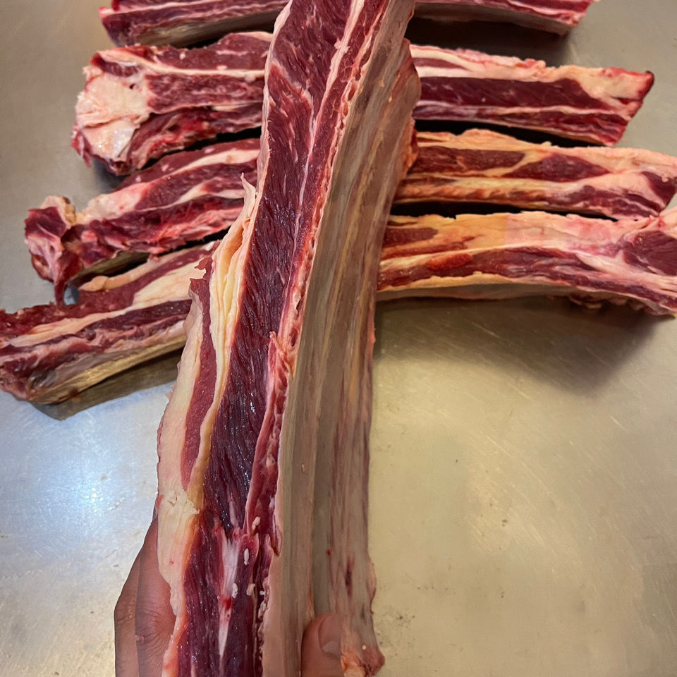 新鲜黄膘牛肋排骨原切内蒙古直发草地牛现杀肥瘦相间黄牛肉特瘦 牛肋