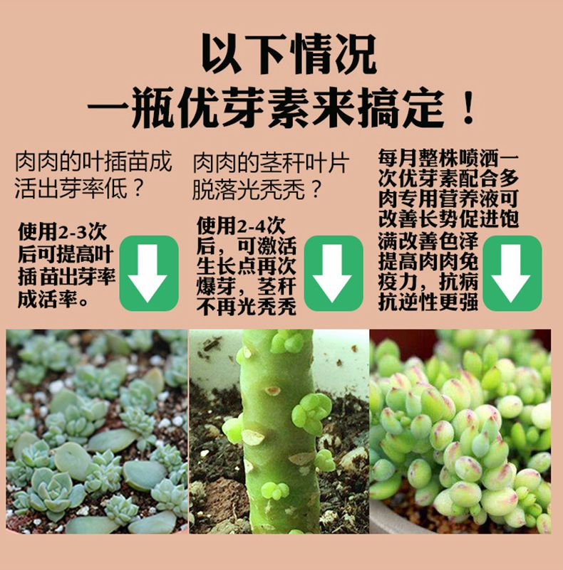 优芽素多肉专用促芽爆芽素叶插苗老桩培养多头株型养护1瓶优芽素1瓶