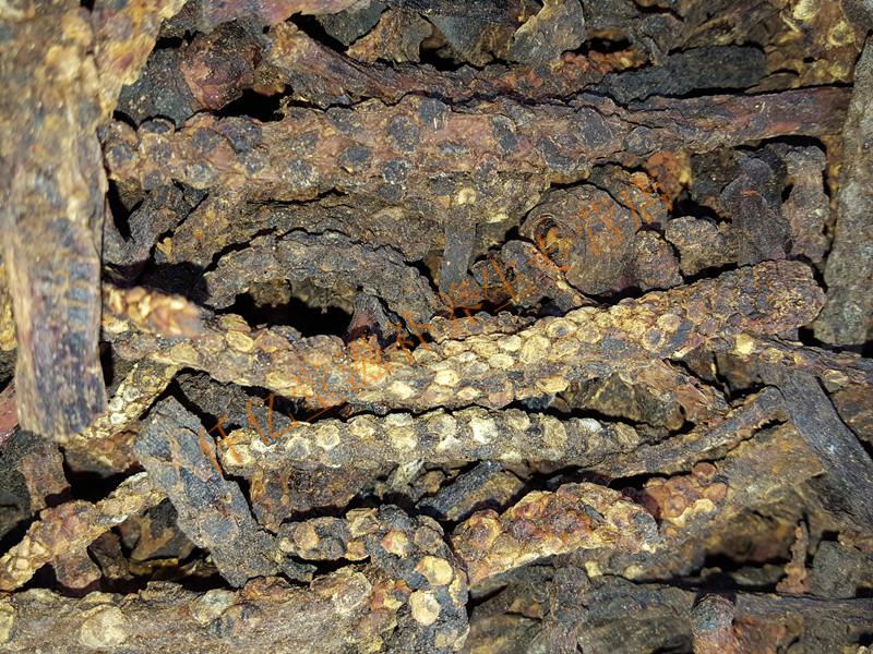 顶天柱霸花虎鞭草500克