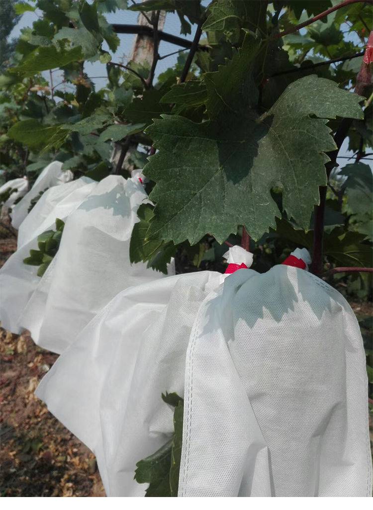 葡萄专用套袋防水防虫防细菌无纺布葡萄套袋透气性好露天水果套袋