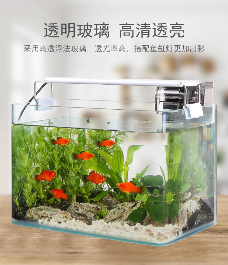 懒人生态鱼缸水族箱客厅小型免换水自循环家用迷你桌面金鱼小鱼缸w300
