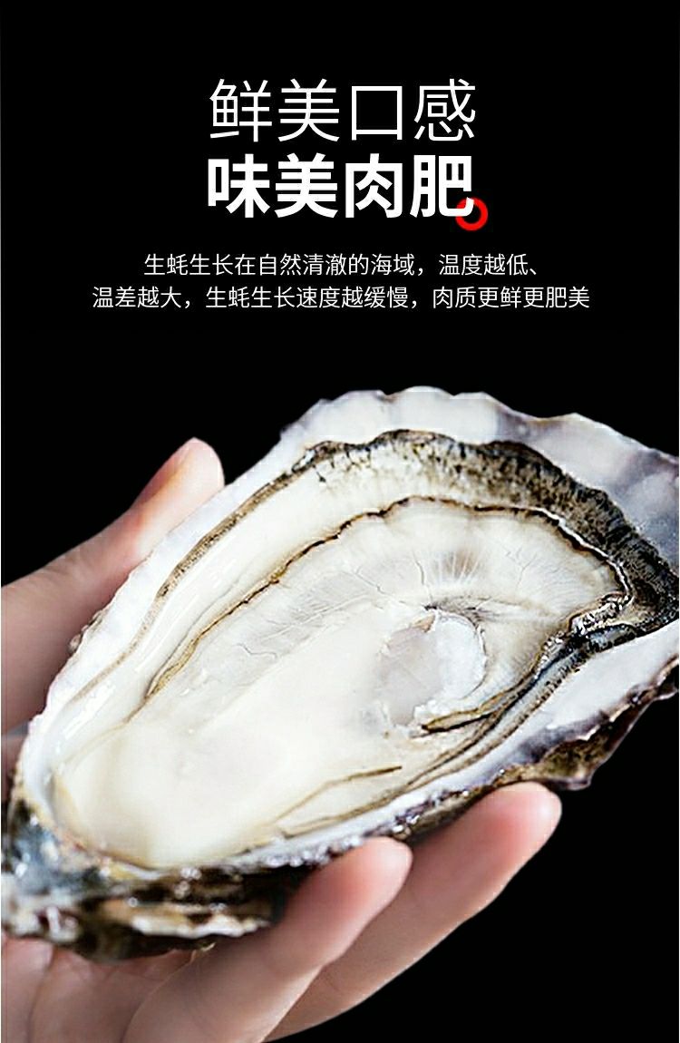 乳山三倍体生蚝海蛎子鲜活5斤10特大海鲜刺身级牡蛎新鲜整箱l5斤