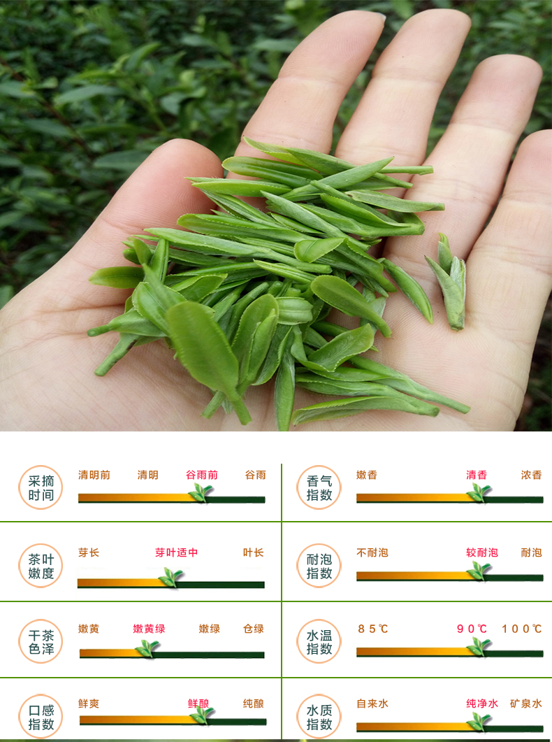 5折 2022三江绿茶新茶广西柳州特产布央侗茶高山茶乌牛早扁茶250g罐装