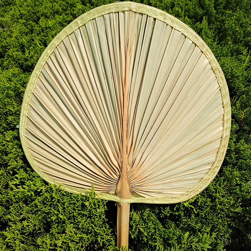 朴珀妮扇子大蒲扇芭蕉扇济公扇葵扇老人老式手工蒲草编织夏季粽叶扇