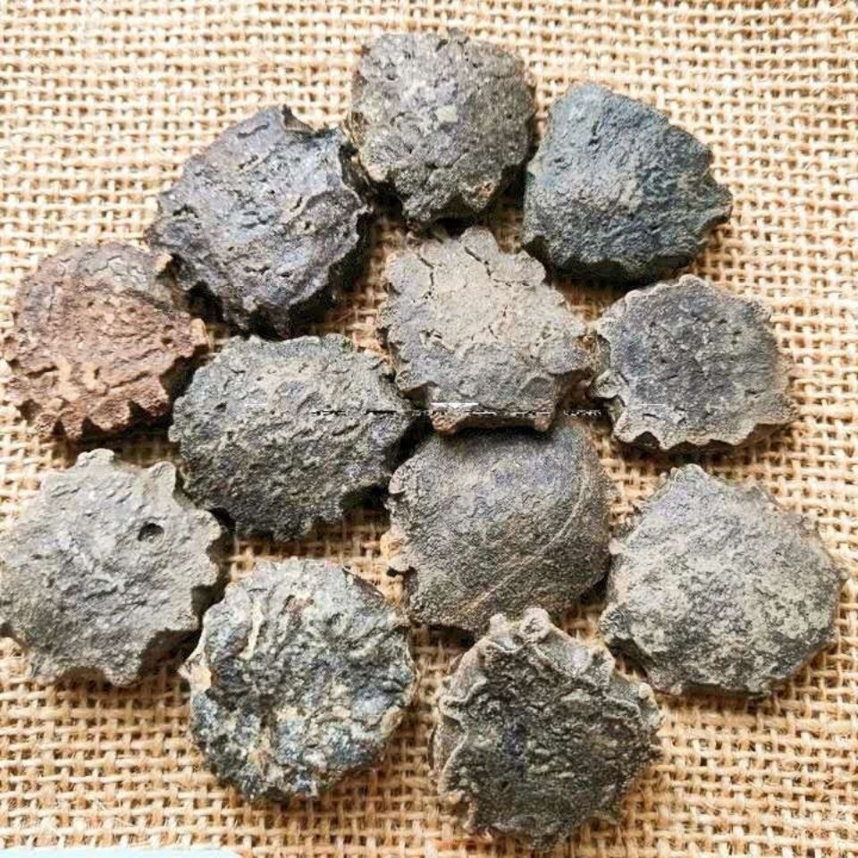 木鳖子无硫番木鳖木别子土木鳖憋子果 木鳖子1000克【图片 价格 品牌