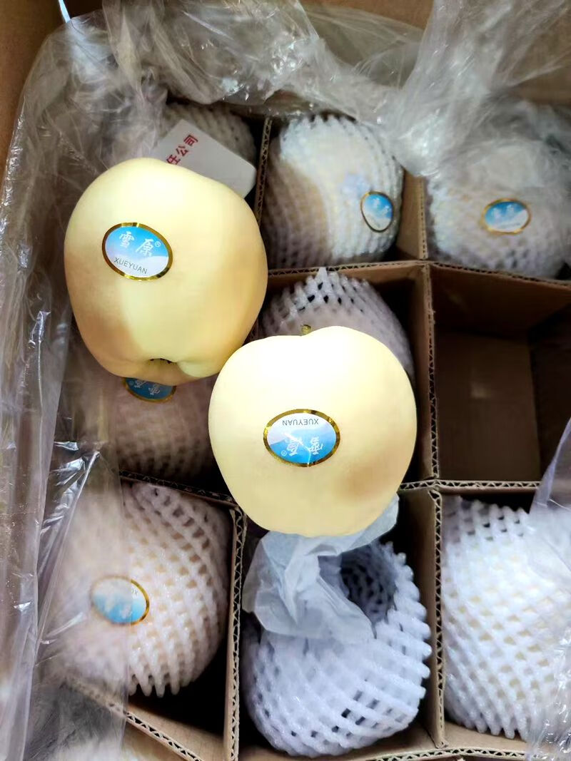 朵蕙 正宗甘肃雪原白果金帅苹果特级苹果礼盒新疆脆甜多汁整箱当季新