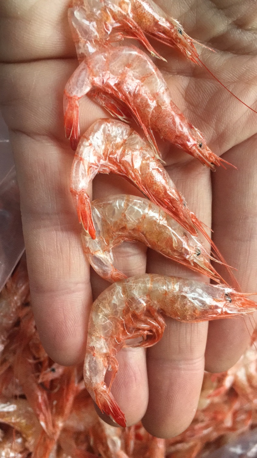 臻品京选】旺佳昌 淡晒特级温州特产樱花虾干东港樱花虾樱花虾日本