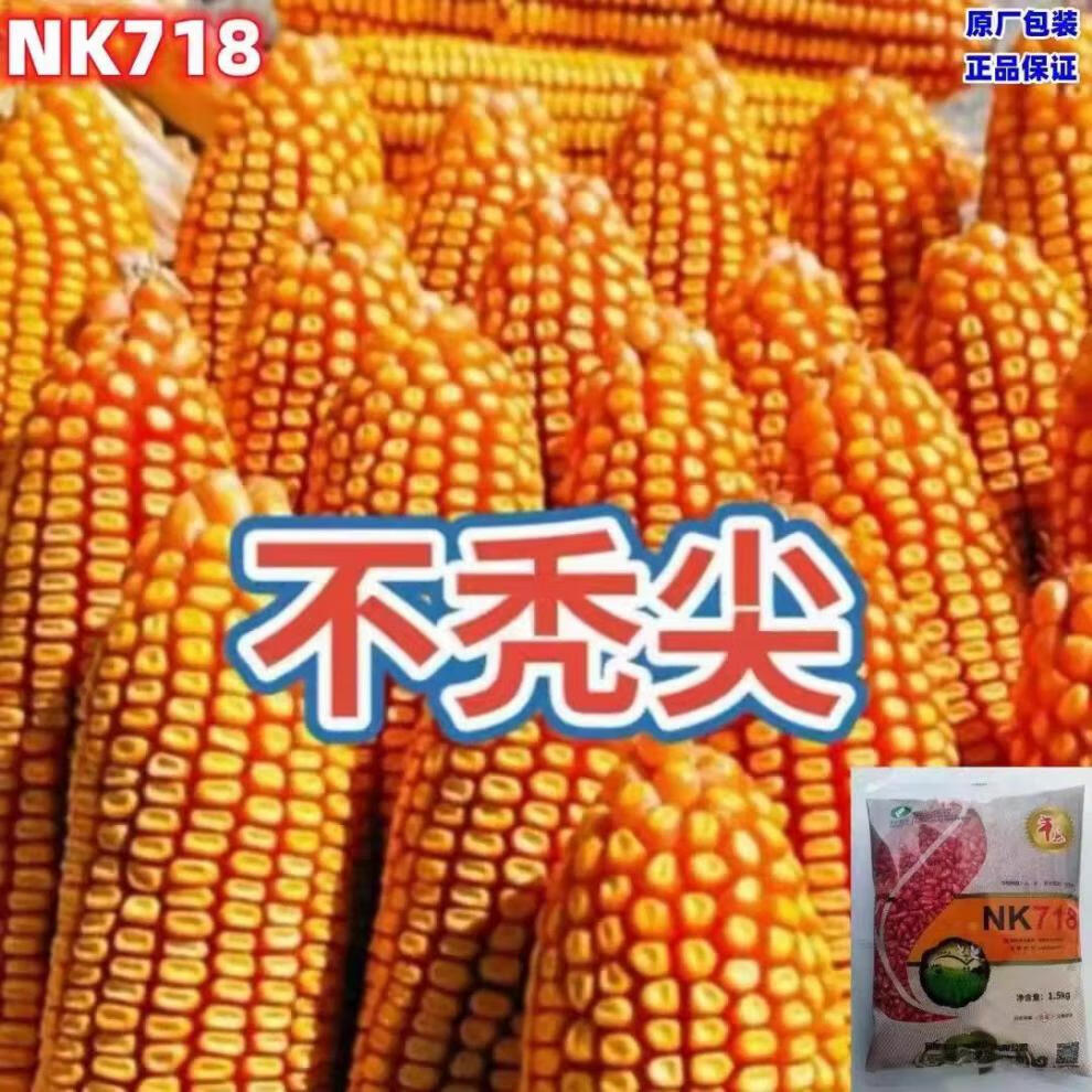 7e8397e7827f671a.jpg