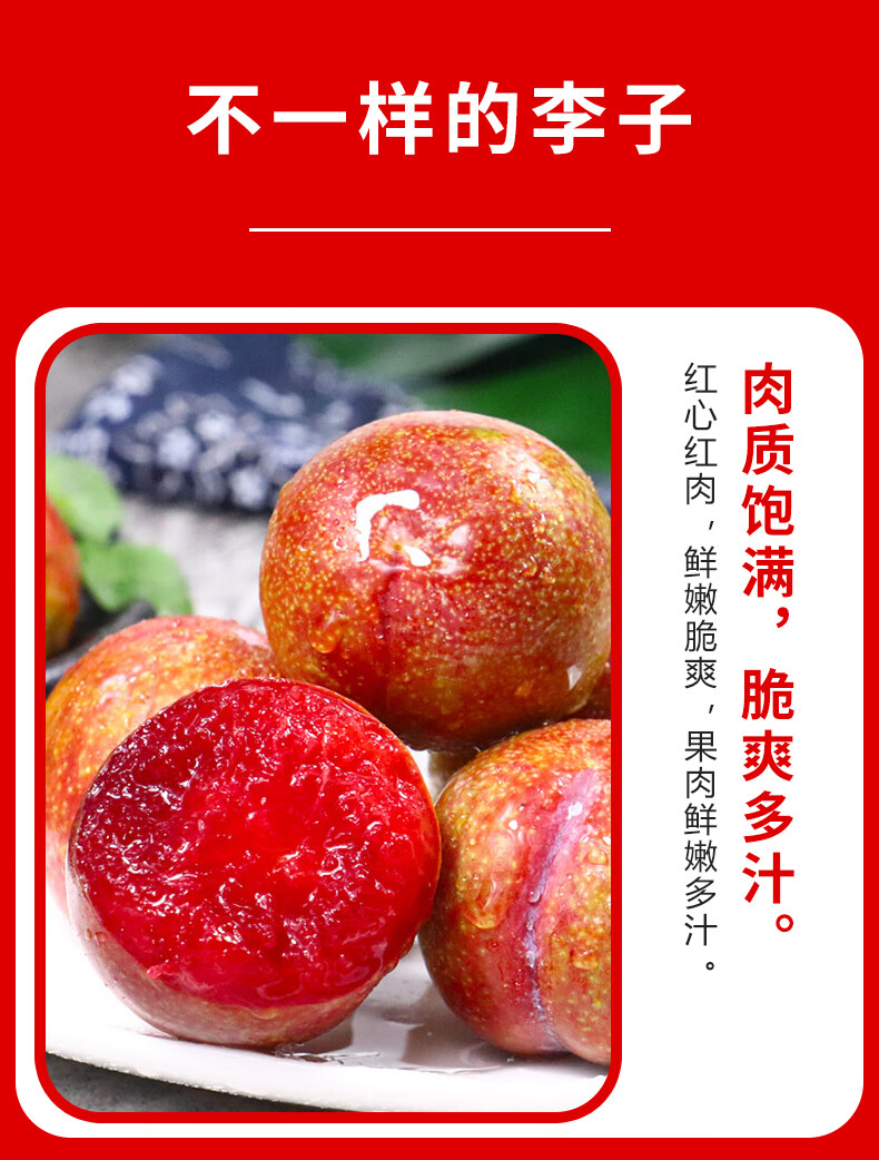 福建芙蓉李 新鲜李子鲜果 现摘脱骨李三华李红心李脆