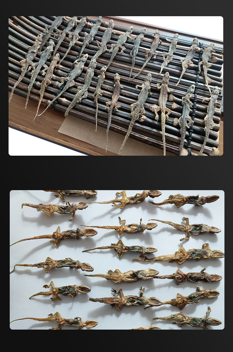 正宗中药材壁虎干国产整条壁虎干守宫干天龙干壁虎粉爬墙虫干货中药材