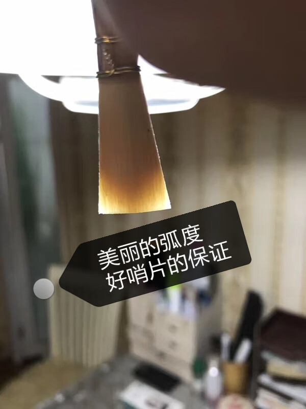 aefff75c1e3ad93d.jpg