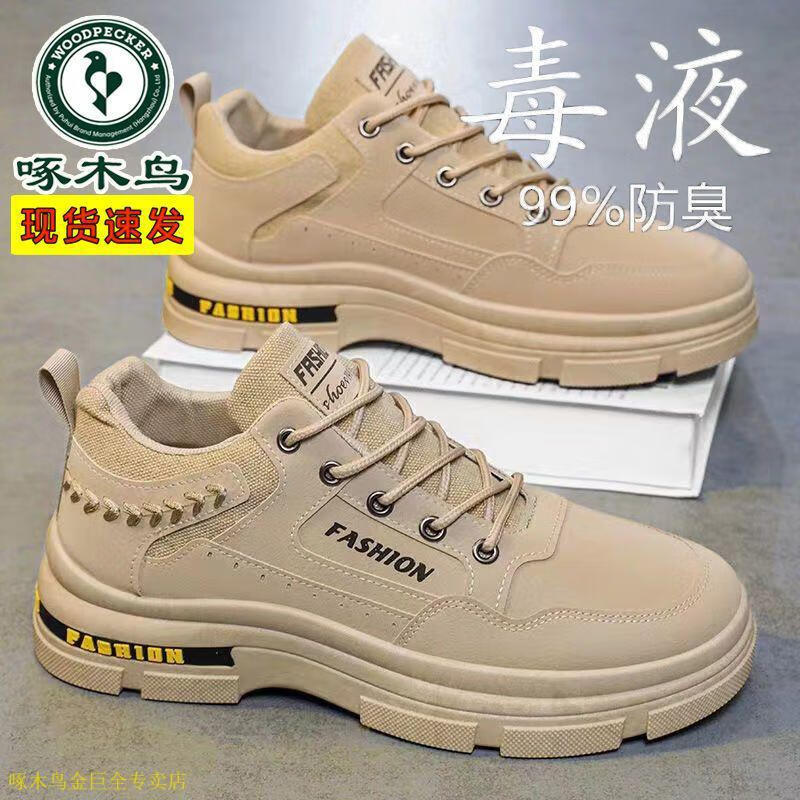 a31871c66612da72.jpg