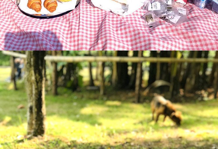 c71c8682-4883-464d-96e0-f3665d91ee6a.jpe