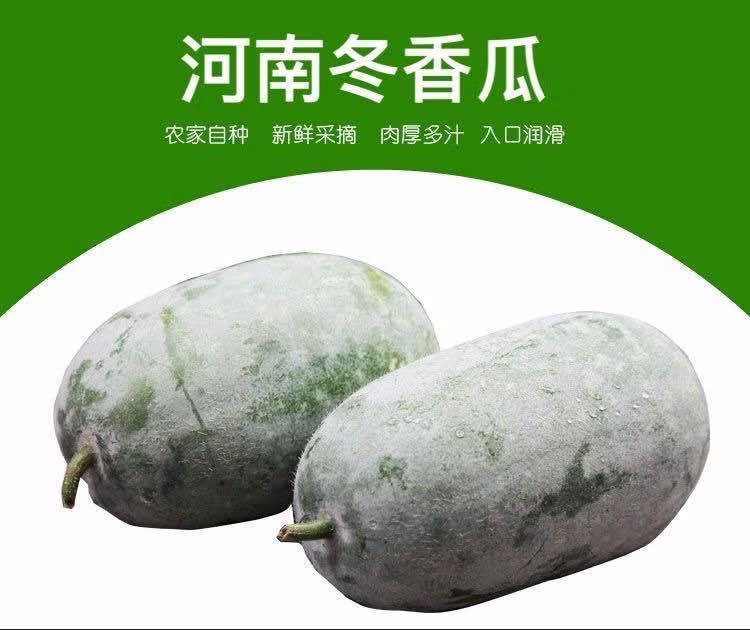 45b2ec9be11e1d3d.jpg.avif