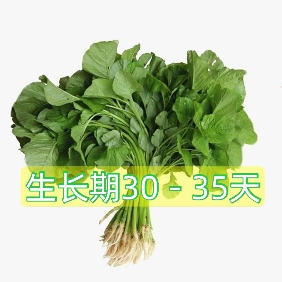 45b5187dc7ba4f92.jpg