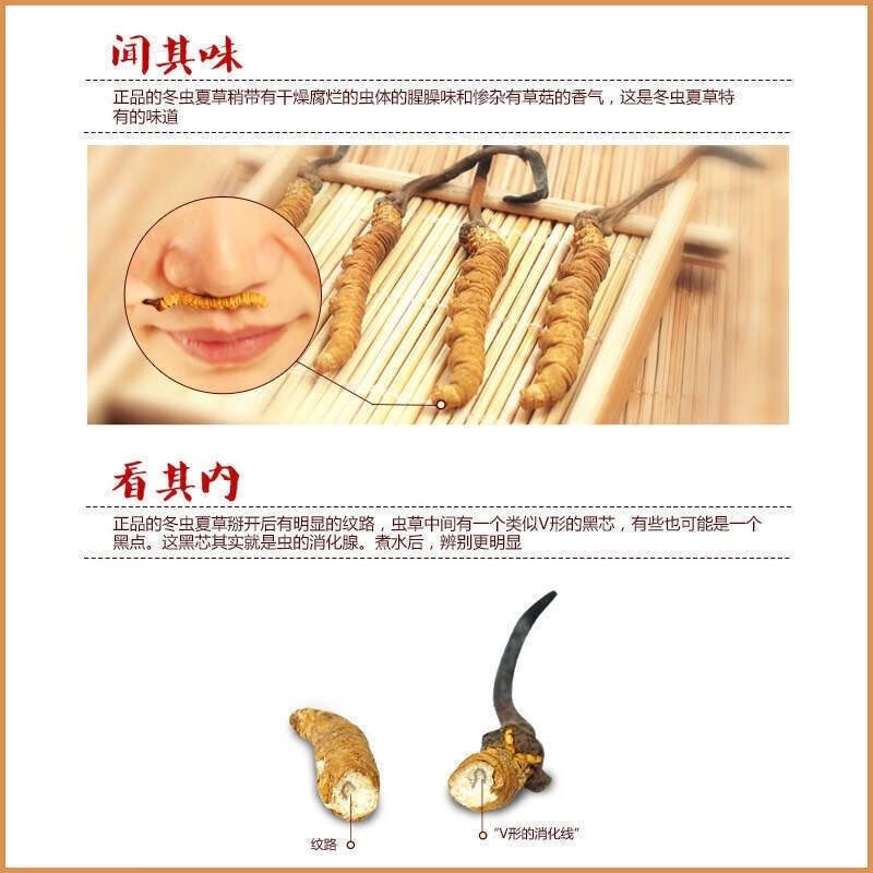 05b23127b2fabb47.jpg