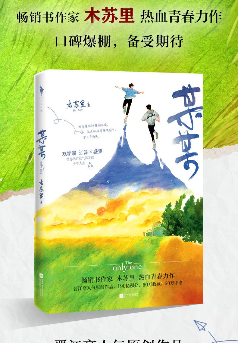 某某小说木苏里热血青春力作书籍一级律师全三册