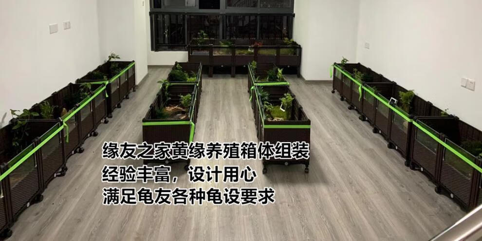 650a09ee22f90980.jpg
